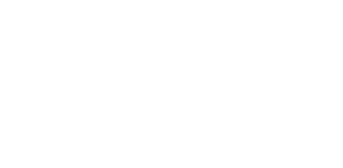 Junta Serv. Militar