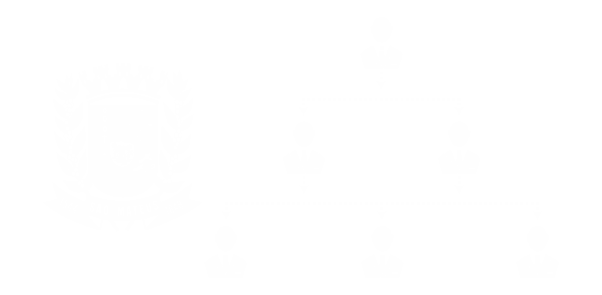 Estrutura Organizacional
