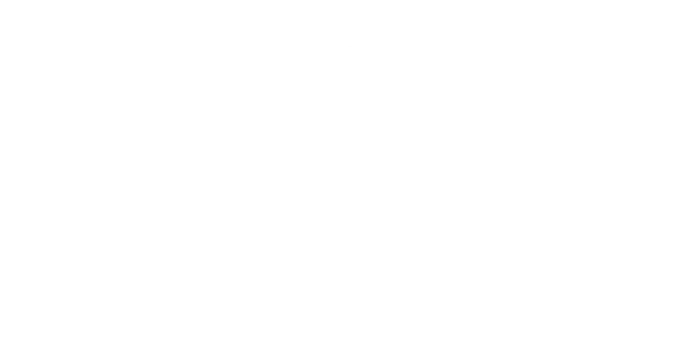 Conselho Tutelar